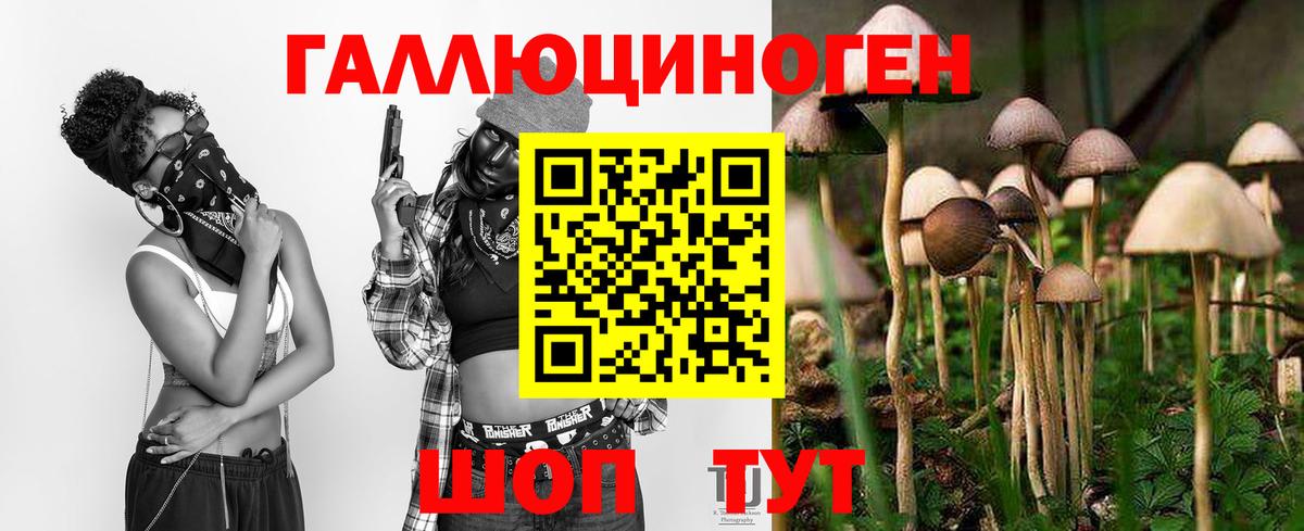 Псилоцибиновые грибы мицелий Среднеуральск